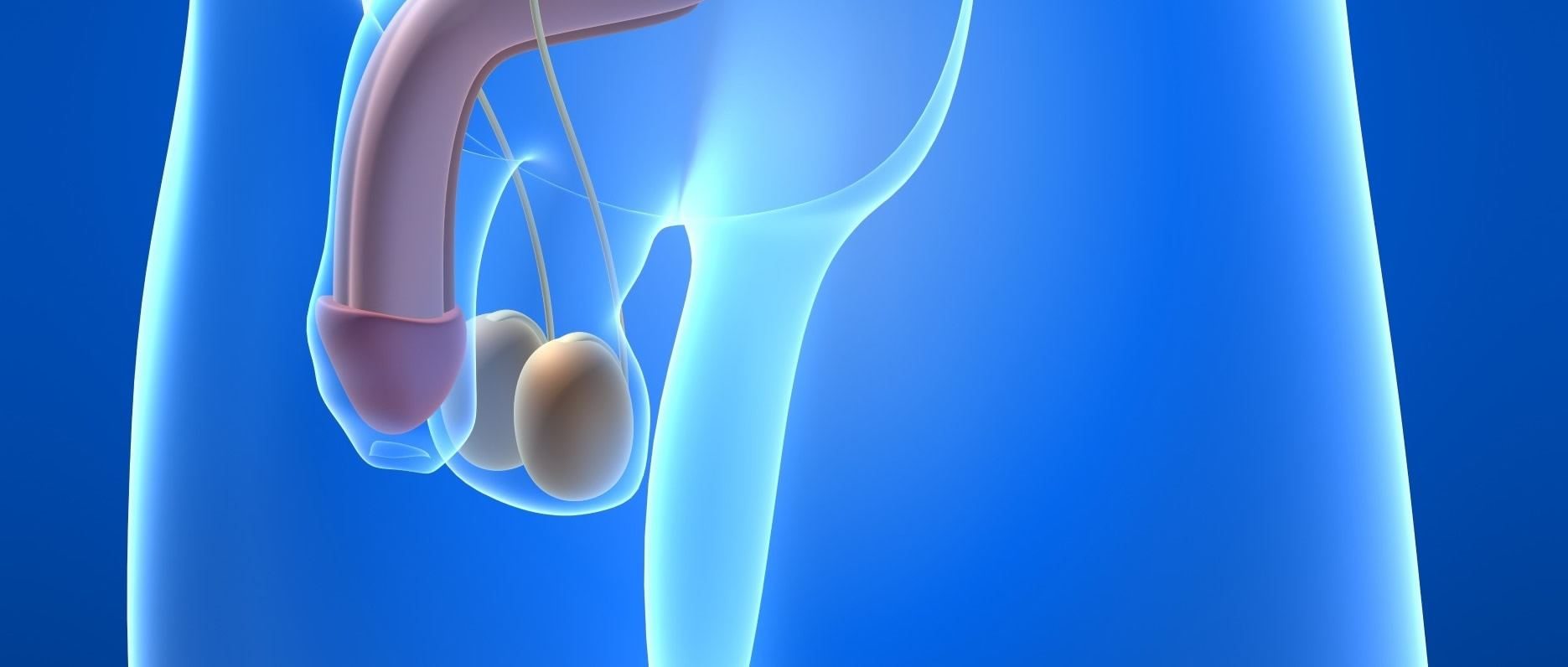 Penis Eğriliği