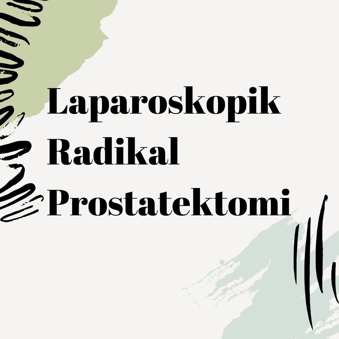 Laparoskopik Radikal Prostatektomi