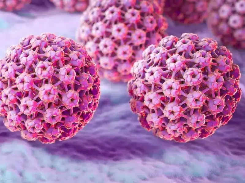 HPV ve Genital Siğil