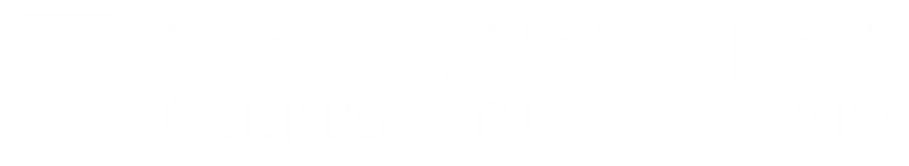 Prof-Dr-Hakki-Perk