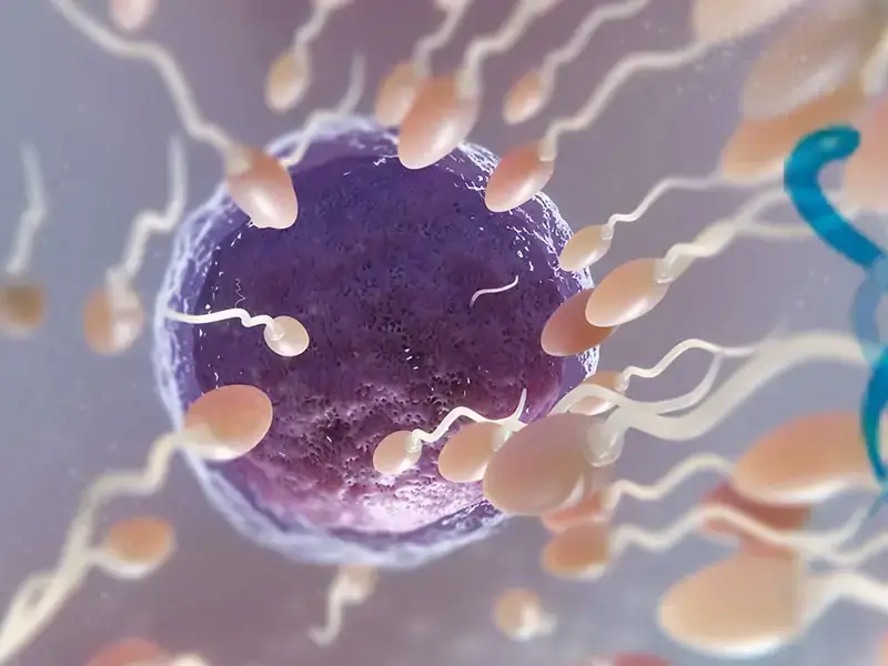 Oligospermi