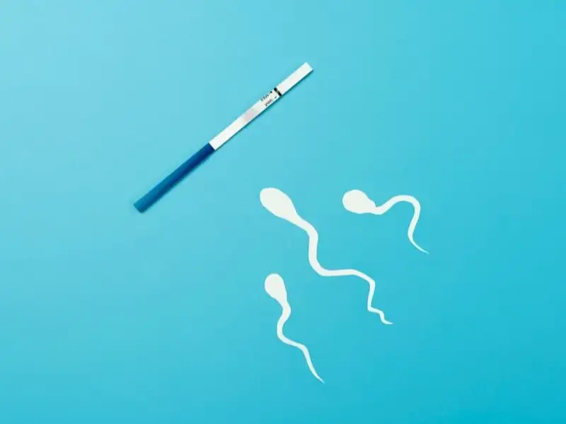 Spermiogram